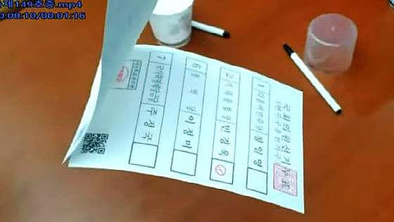 Korea Election Fraud Allegations
